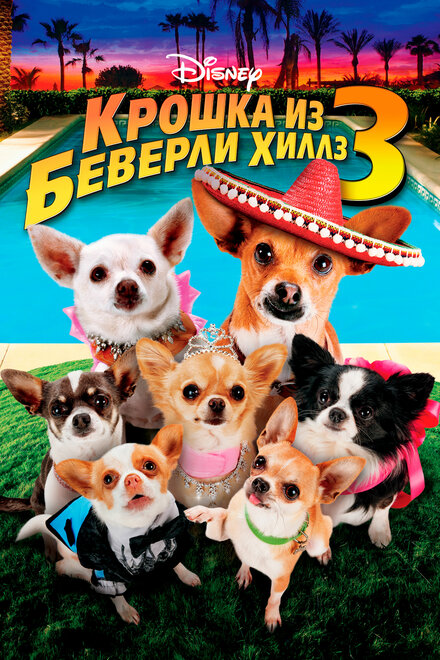 Крошка из Беверли-Хиллз 3